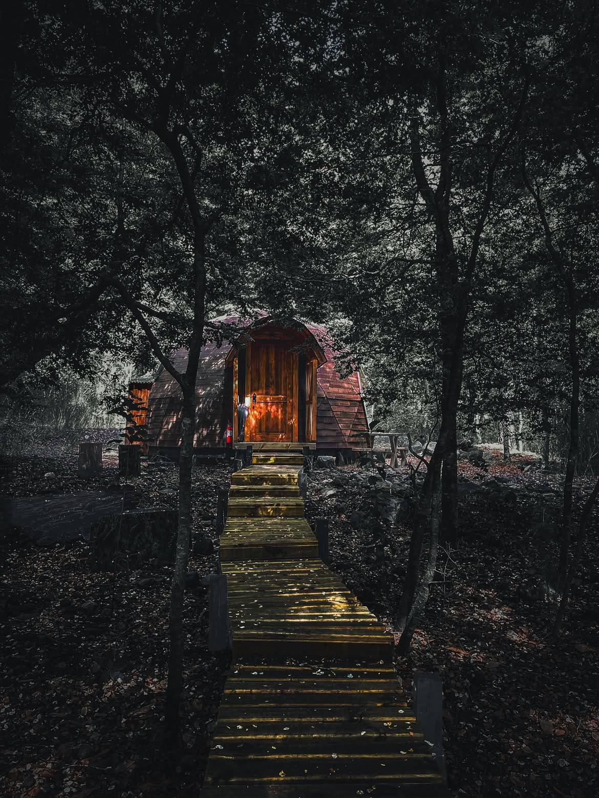 El Awen - Domos en el Bosque de Pucon