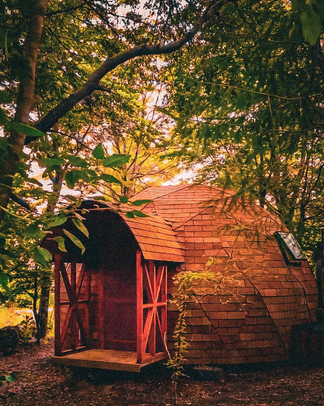 El Awen - Domos en el Bosque de Pucon foto 2