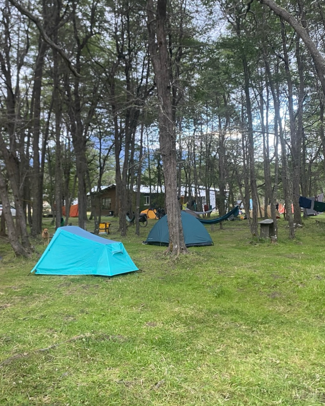 Camping y Refugios Los Pioneros - Villa O'Higgins foto 3