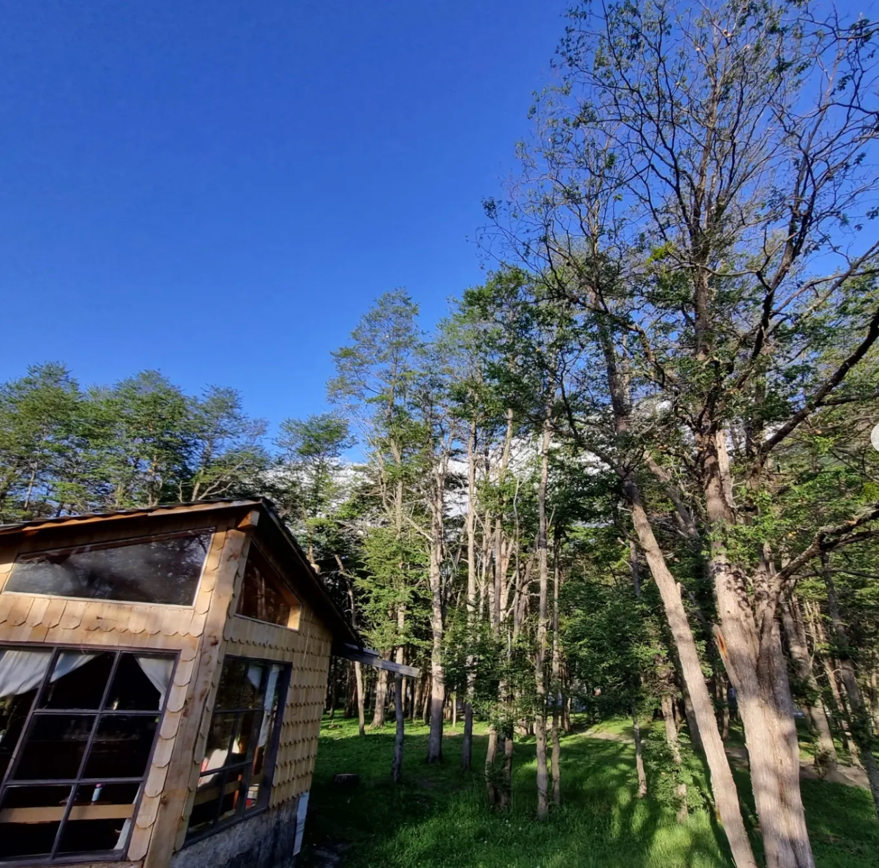 Camping y Refugios Los Pioneros - Villa O'Higgins