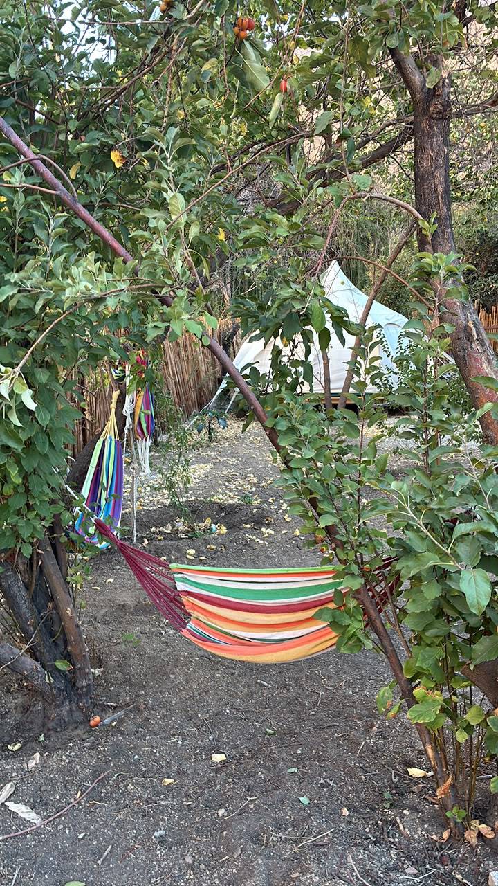 Glamping Ramas de Elqui foto 19