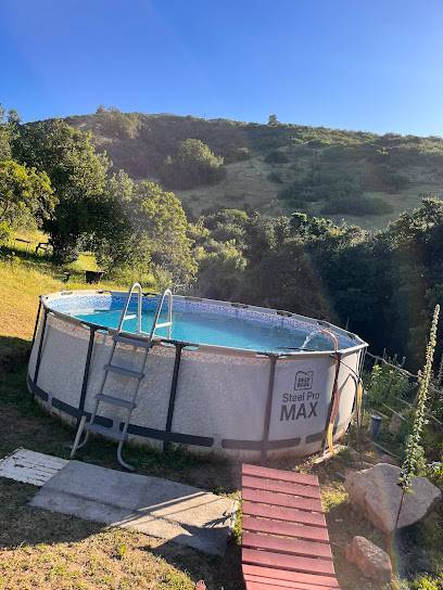 Camping los Árboles Nativos