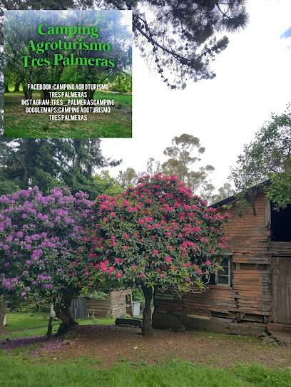 Camping Agroturismo Tres Palmeras