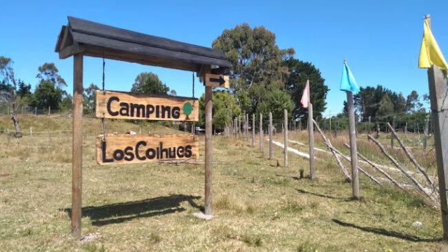 Camping Los Coihues foto 2