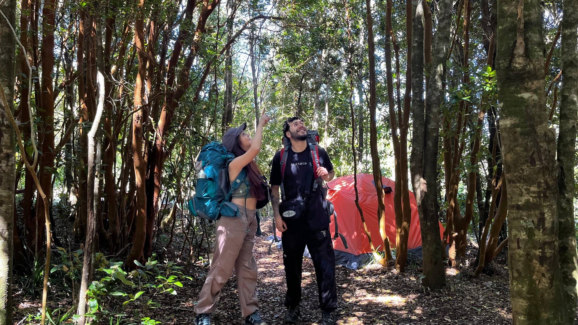 Ko Glamping foto 42