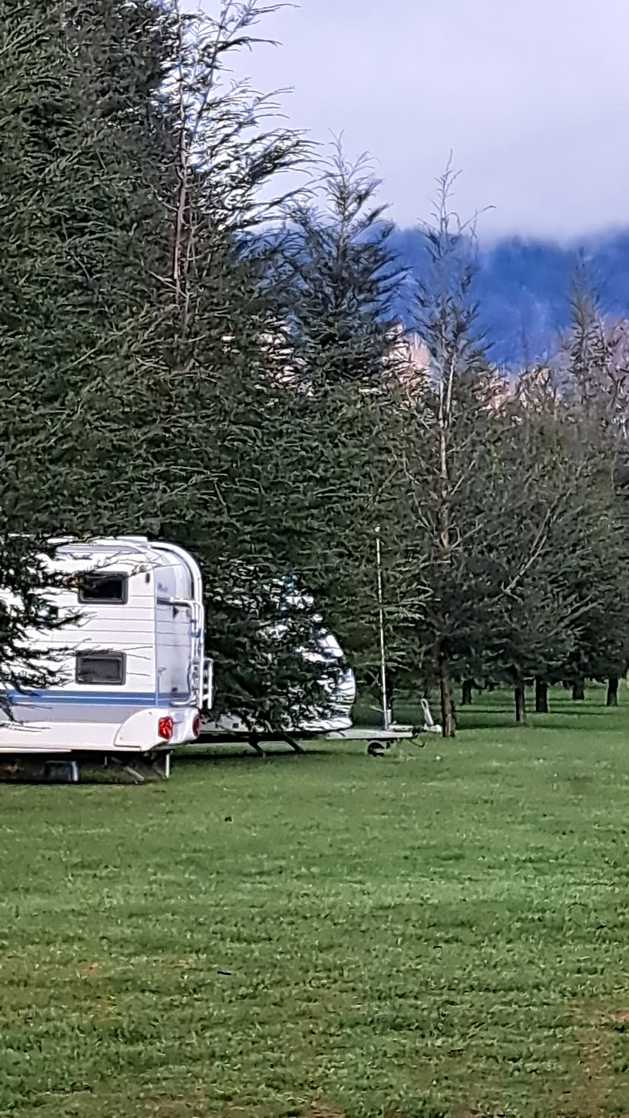 Camping Hans park Pucón