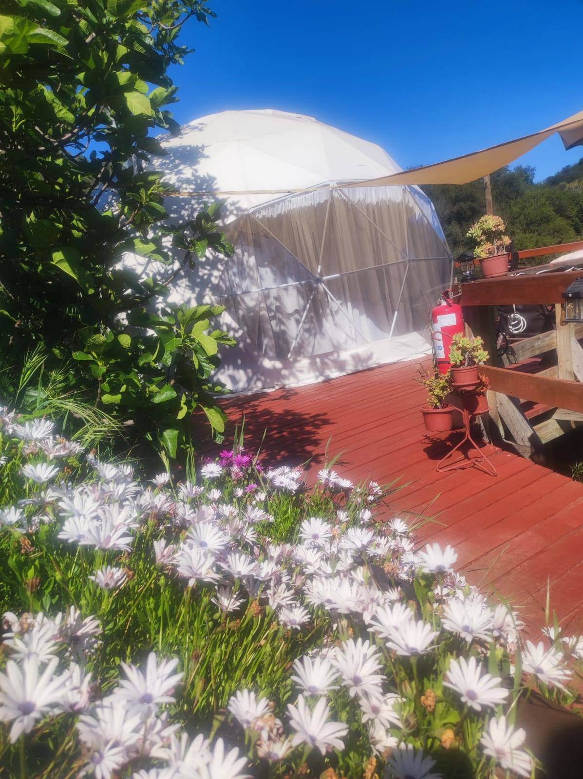 Glamping Domo Chile foto 3